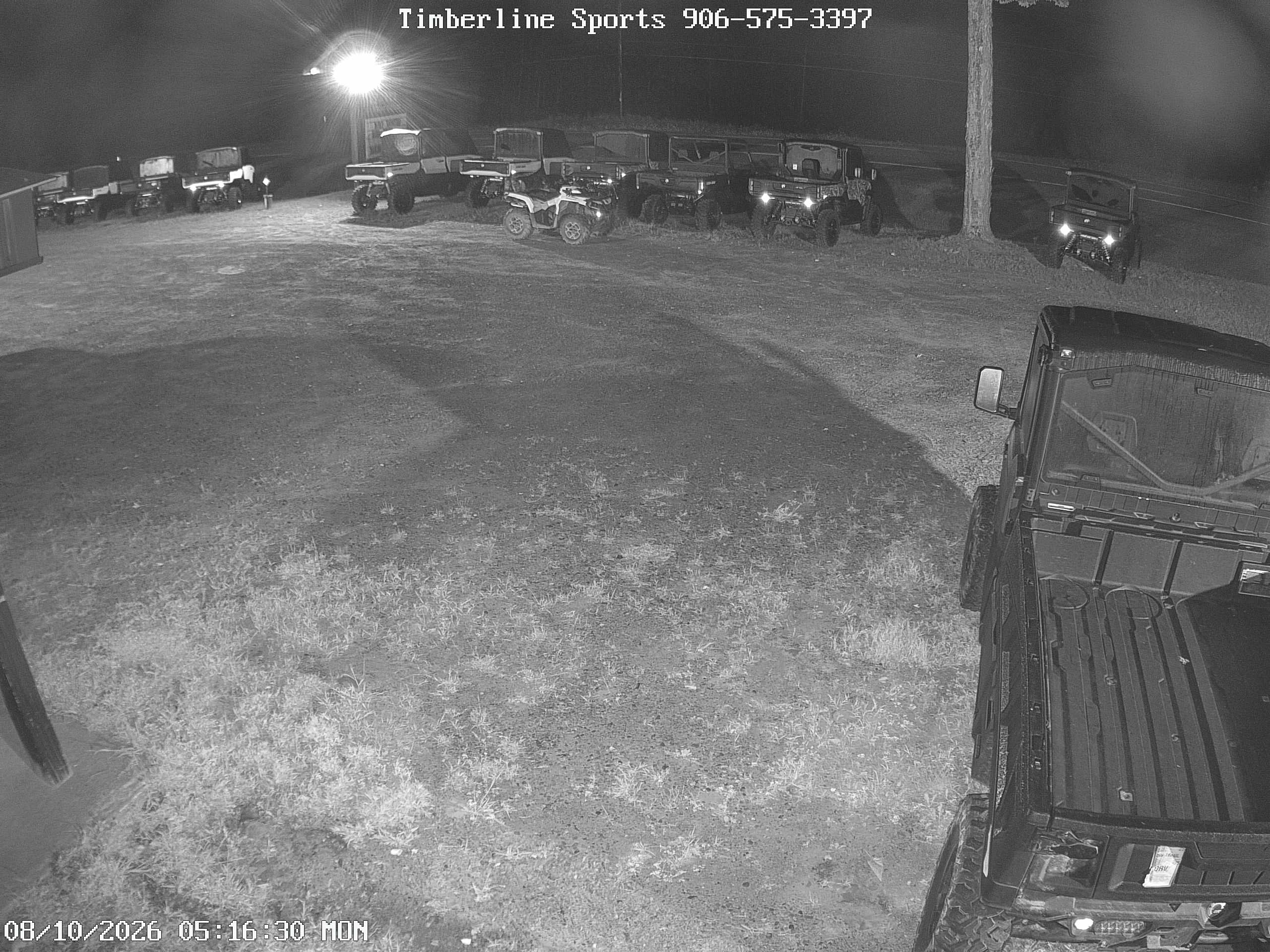 Timberline Sports
